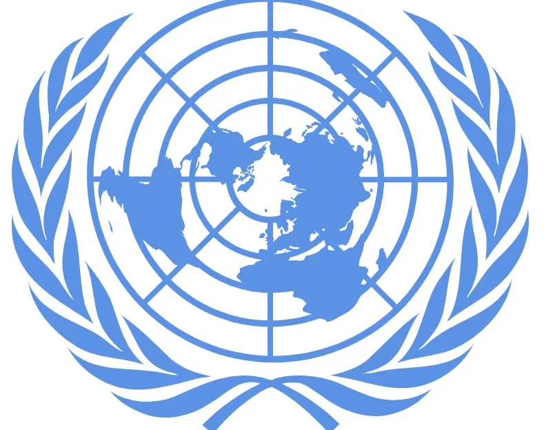 UN emblem - An illustration of the world map.