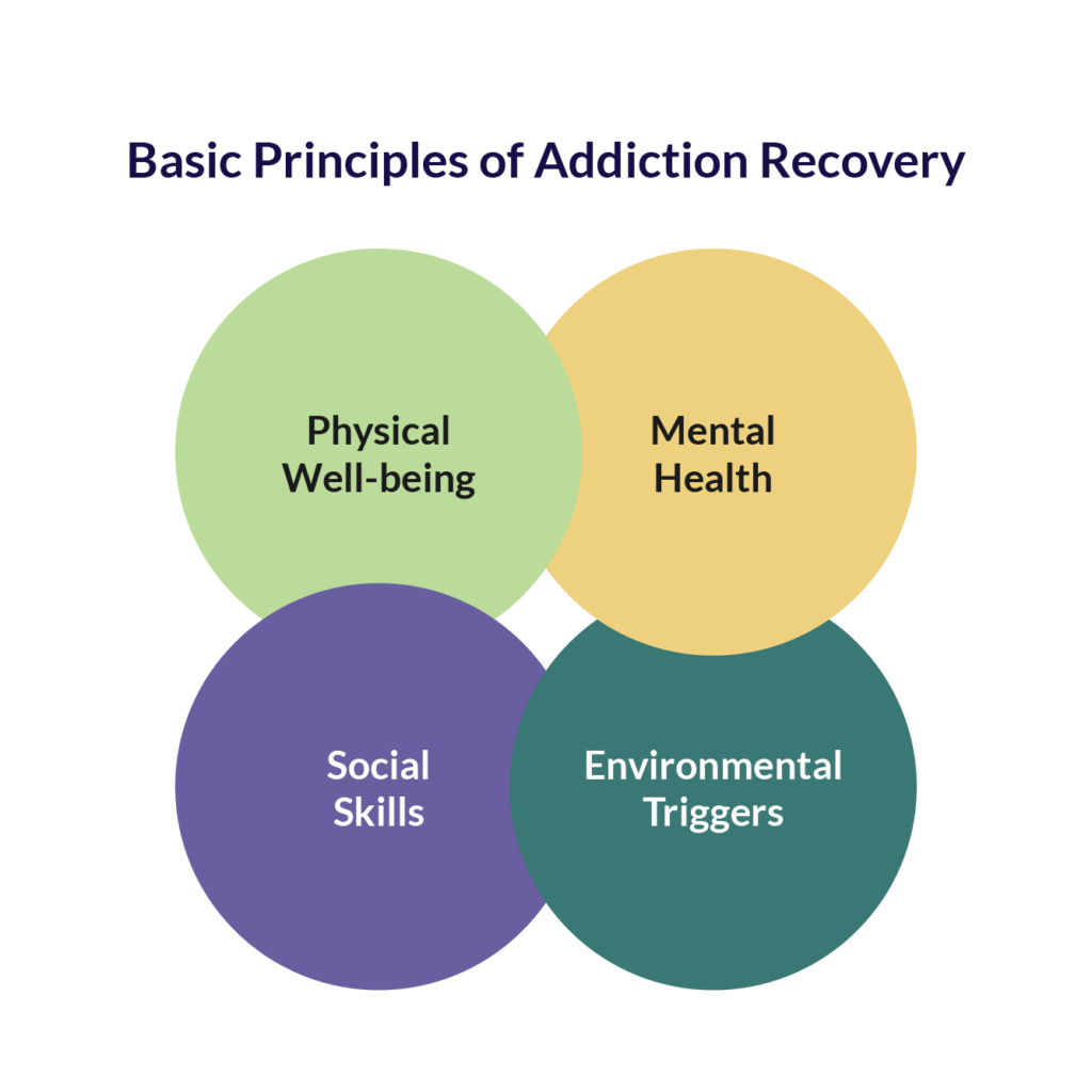 4 Basic Principles of Addiction Recovery: Physical Well-being, Mental Health, Social Skills, and Environmental Triggers.